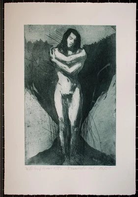 Willibrord Haas Romantischer Kerl Männerakt signiert Radierung 1983 16/20 - Bild 1 von 2