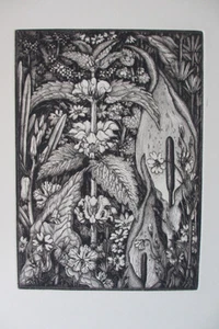 Robin Tanner. Hedge Flowers, from the Memorial Portfolio, 1989, limited ed. - Picture 1 of 3