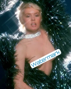 JOEY HEATHERTON Looks Great in Just Fishnet ** Pro Pigment Print (8.5"x11") WOAH - Picture 1 of 1