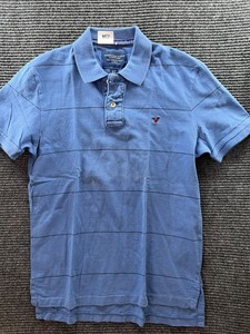 American Eagle Outfitters Small The Eagle Polo, Blue Striped Polo, Eagle Logo