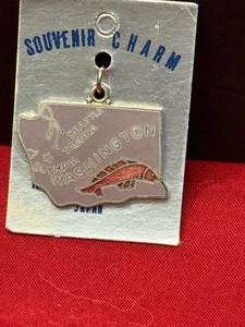 Vintage Cloisonne harte Emaille WASHINGTON Staatskarte Charm AUF ORIGINALKARTE - Bild 1 von 2