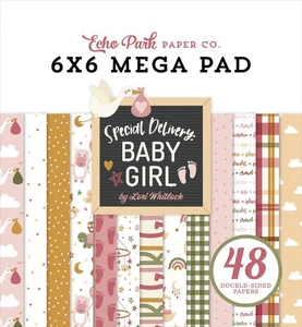 Echo Park - Special Delivery Baby GIRL - CardMakers 6x6 MEGA Pad 48/pkg - Picture 1 of 2