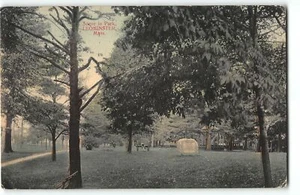 Scene in Carter Park, Leominster MA with Memorial Boulder - 1908 Postcard - Picture 1 of 2