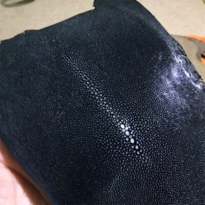 1 peça de couro de pele de peixe shagreen arraia polida real várias cores - Imagem 1 de 4