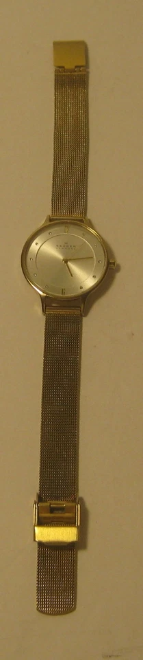 Classic SKAGEN Denmark ALL Stainless Steel Watch ANITA SKW 2150 NEW BATTERY - Image 1 of 4
