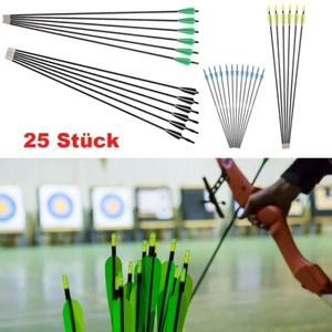 25 Fiberglaspfeile 6mm Pfeile Fiberglaspfeil Recurvebogen Sportbogen Bogenpfeile - Bild 1 von 25