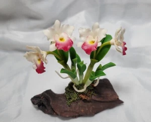 Casa de muñecas artesanal vintage miniatura corteza de orquídea Cattleya escenificada hecha a mano - Imagen 1 de 19