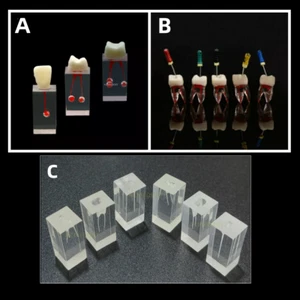 Dental RCT Files Block Endo Rotary File Practice Model Rooth Canal Pulp Crown - Picture 1 of 15