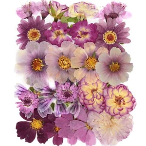 40Pcs Natural Pressed Dried Flowers Resin, Dry Flowers for Resin Accessories,... - Picture 1 of 7