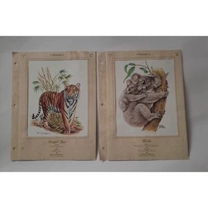 Lot Of 2 signed Animal Prints Tiger By R Fieger, Koala By Ohne Sorge VTG - Picture 1 of 4