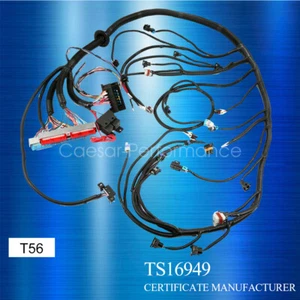 Arnés de cableado independiente T56 o no eléctrico Tran 4.8 5.3 6.0 DBC LS1 1997-2006 - Imagen 1 de 11