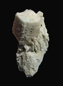 Alte Sammlung Microcline Quarz Albit aus Regierungsgruben, New Hampshire #2 - Bild 1 von 4