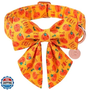 UP URARA PUP Halloween Kürbis Hundehalsband mit Fliege, Orange Halloween Haustier - Bild 1 von 4