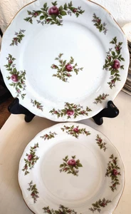 Johann Haviland Moss Rose Salad Plate & Bread Plate - Picture 1 of 1
