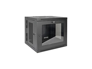 Tripp Lite 10U Wall-Mount Rack Enclosure Server Cabinet, Hinged Back, Clear - Picture 1 of 5