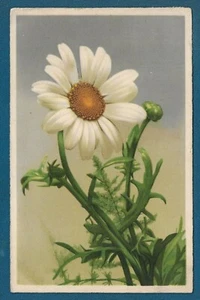 Kroatien NDH WWII Vintage Postkarte 1944. Kriegssteuer! - Bild 1 von 2