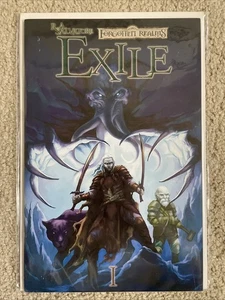 Cómic DDP D&D Forgotten Realms Exile #1 I Prestige Edición Coleccionista 2005 - Imagen 1 de 6