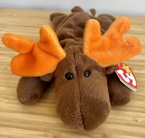 Ty Beanie Baby Chocolate the Moose 1993 mit seltenen Etikettfehlern - Bild 1 von 5