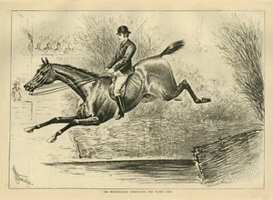 EQUINE DAS METROPOLITAN PFERD SHOW DER WASSERSPRUNG PFERD JOCKEY SATTEL ZÜGEL - Bild 1 von 1