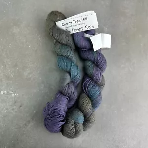Cherry Tree Hill Yarn Hank Lot TWILIGHT Hand Dyed CLOSED Discont. Fingering USA - Picture 1 of 6