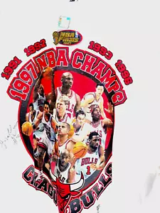 CHAMPIONSHIP Tee(Signed by Jason Caffey) & Cap, Chicago Bulls 1997 CHAMPIONSHIP - Picture 1 of 9