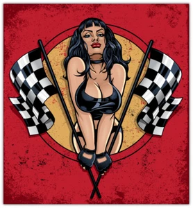 Girl Sexy Racing Car Bumper Sticker Decal - 3'' or 5'' - Picture 1 of 1