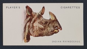 INDIAN RHINOCEROS ~ 1931 WILD ANIMALS' HEADS #42 VTG JOHN PLAYER CIGARETTE CARD