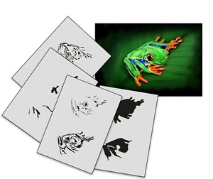 AS-188 Frog step by step stencil template acrylic airbrush spray wall paint - Picture 1 of 2