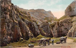 COLLECTING STONES CHEDDAR CLIFFS SOMERSET POSTCARD c.1900'S GORGE - Picture 1 of 2