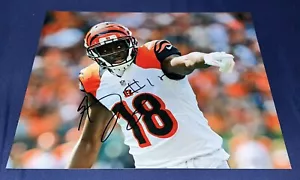 AJ GREEN SIGNED 8X10 PHOTO CINCINNATI BENGALS FOOTBALL GEORGIA AUTOGRAPH AUTO - Picture 1 of 1
