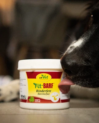 Fit-BARF Rinderfett 500ml - bei schlechten Futterverwertern und Untergewicht - Bild 1 von 4