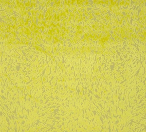 DESIGNERS GUILD FABRIC TORLONIA CHARTREUSE CUT VELVET  FDG2257/06 - Picture 1 of 1