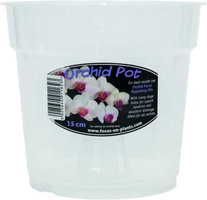 Clear Orchid Pot 15 cm - Picture 1 of 2
