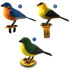 Voice Controlled Bird Simulated Sounding Voice Activated Bird Figure Model for