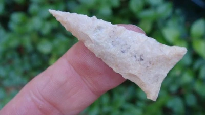 Punta de flecha de 1 3/4" casi perfecta dentada PINELLAS Florida Georgia ~121~ Foto 1 de 2