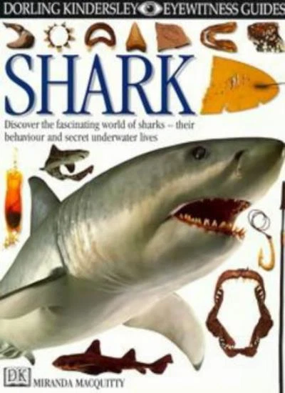 Shark (Eyewitness Guides) By Dr. Miranda MacQuitty. 9780863189128 - Image 1 of 1