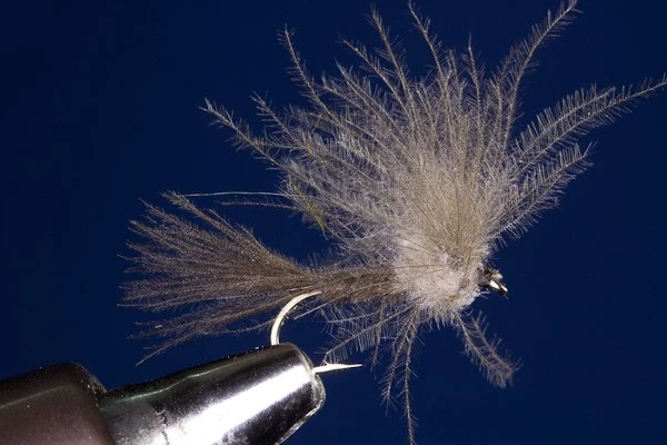 Fliegentom 3 Stück Dunkelgrauer Flymph Emerger - Bild 1 von 1