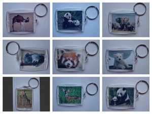 Wild Animals & Wild Birds Photo Keyring / bag tag, clear plastic, - Picture 1 of 52
