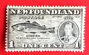 Canada Newfoundland #233 Long Coronation Issue - Codfish MH - Picture 1 of 1