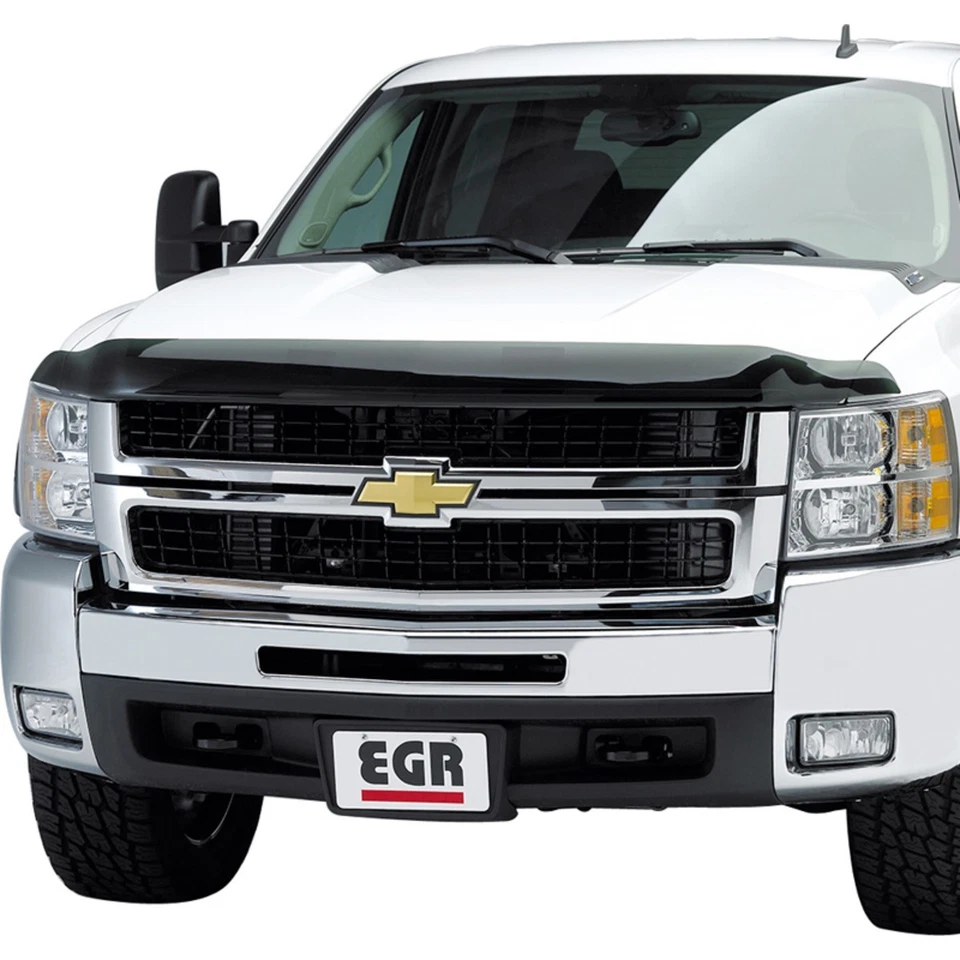 302851 EGR Bug Shield for Ram Truck 3500 2500 Dodge 2010 - Image 1 of 4