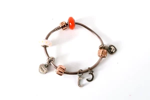 Pandora ALE-R Charm Bracelet with Charms - Picture 1 of 11