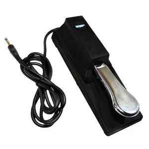 Sustain Pedal for Casio CTK-2000 CTK-2100 CTK-2200 CTK-2400 CTK-3000 CTK-3200 - Picture 1 of 14
