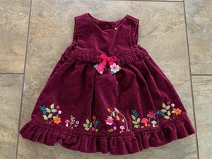Gymboree Baby Girl Perfectly Plum Velvet Dress Size 0-3 Months Floral Mushrooms - Picture 1 of 6