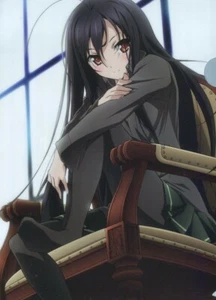 cartella archivio trasparente Accel World anime Kuroyukihime principessa neve nera - Foto 1 di 2