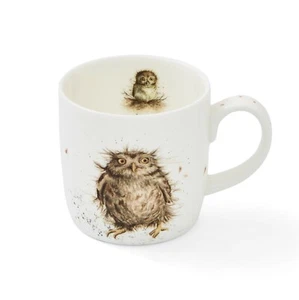 Royal Worcester Wrendale Designs - 0.31L/11Fl.oz Owl Mug - RRP $39.95 - Picture 1 of 4
