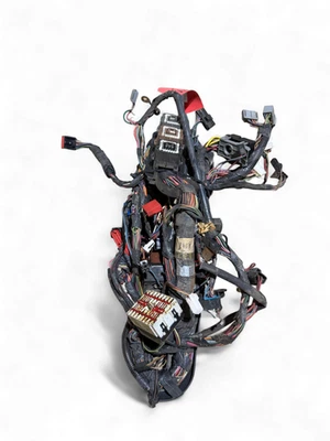 Arnés de cableado para tablero Ford F250 F350 2000 7,3 L XLT YC3T-14401-P260W ANG Foto 1 de 4