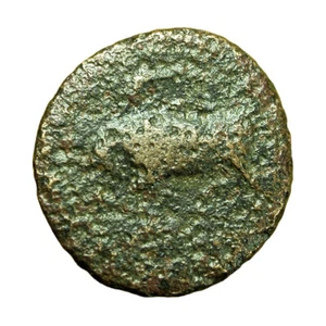 Antigua moneda griega Agatocles Siracusa Sicilia AE17mm Perséfone/Toro 04046 - Imagen 1 de 3