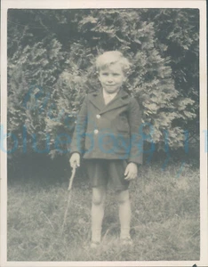 Foto 1952 Boy at Longleat delante de pequeños árboles 4,5x3,5" - Imagen 1 de 2