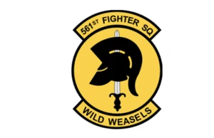 Calcomanía de 4" Air Force 561st Escuadrón de Combate Parachoques Pegatina Hecha en EE. UU. - Imagen 1 de 1