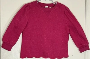 Baby Gap Little Girl Sz 4/5 Sweatshirt Long Sleeve Pink Glittered Scalloped Trim - Picture 1 of 10